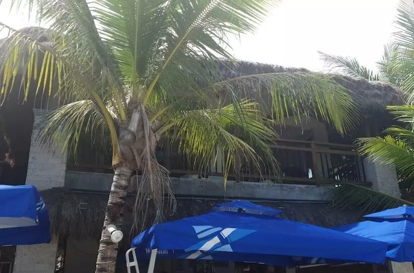 Birdwatchers Beachfront Hotel Panglao