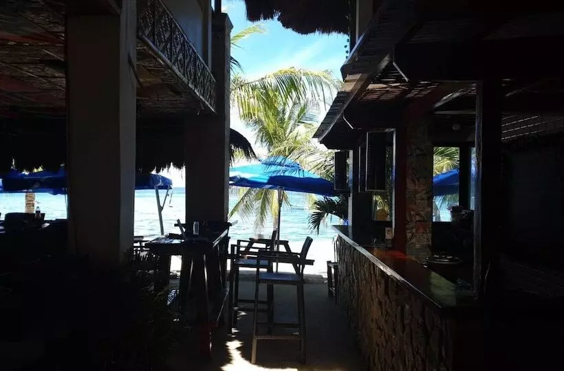 Birdwatchers Beachfront Hotel Panglao