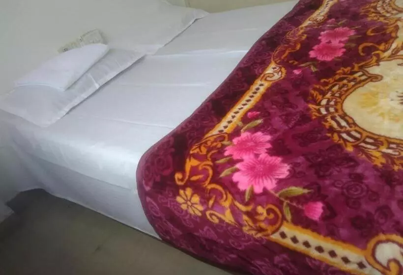 Dev Hotel Mansarovar