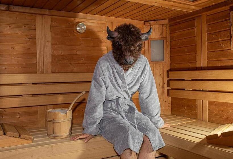 B&b 2000   Panorama Pension