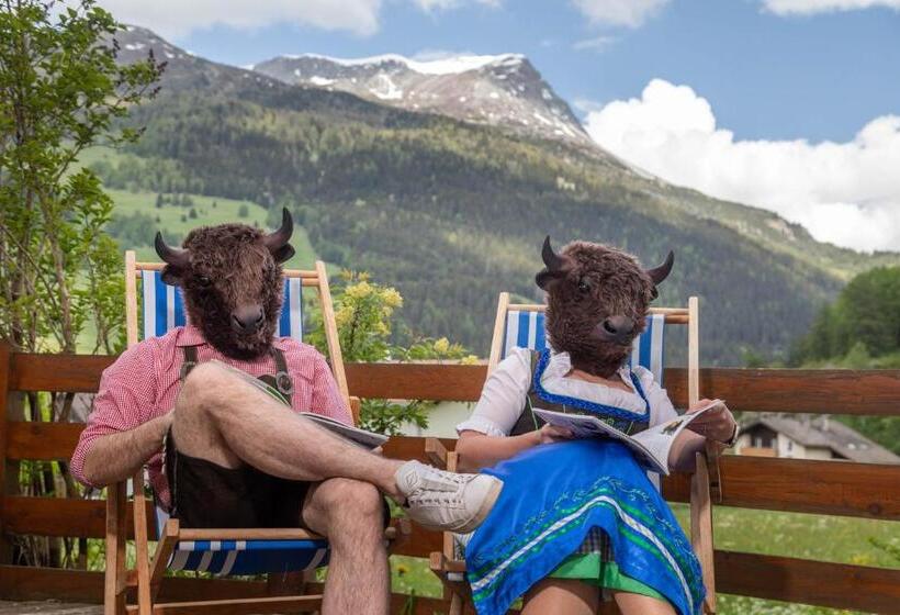 B&b 2000   Panorama Pension