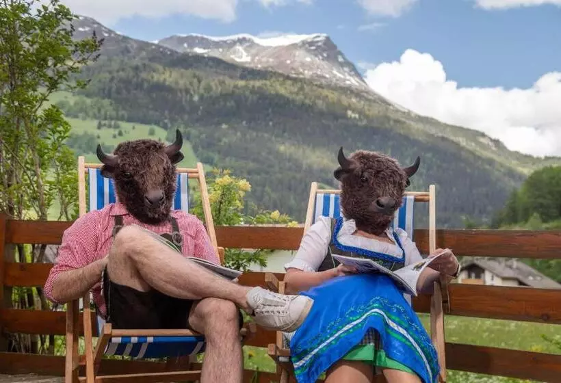 B&b 2000   Panorama Pension