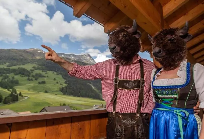 B&b 2000   Panorama Pension