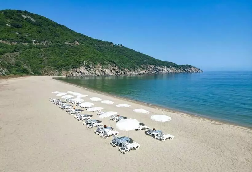 ベッドアンドブレックファースト Mukha Ormanli