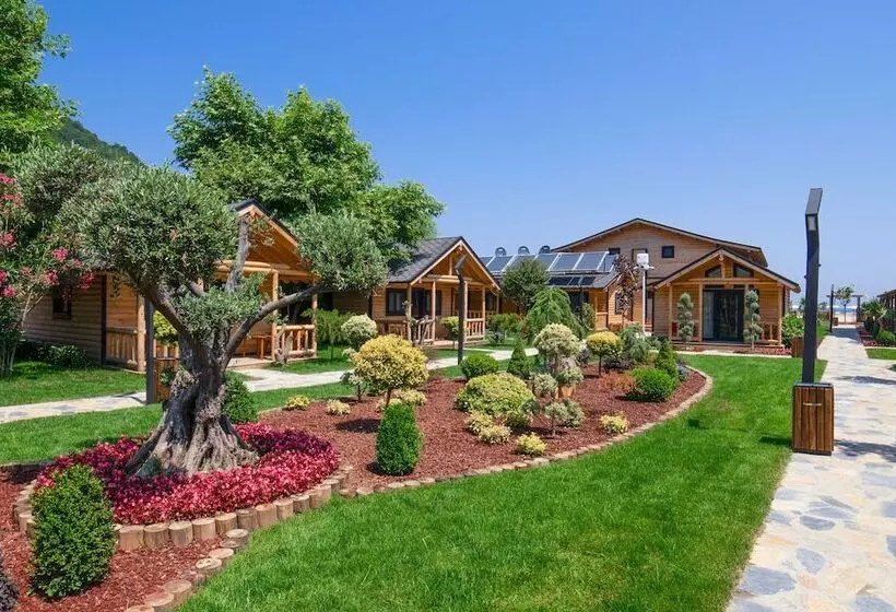 ベッドアンドブレックファースト Mukha Ormanli