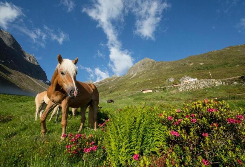 Отель Garni Hanni