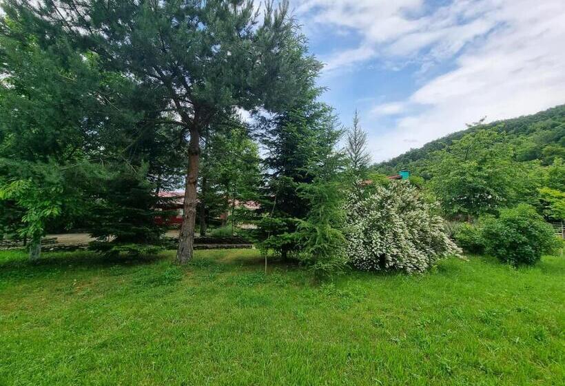 Restaurant Pensiune La Danila