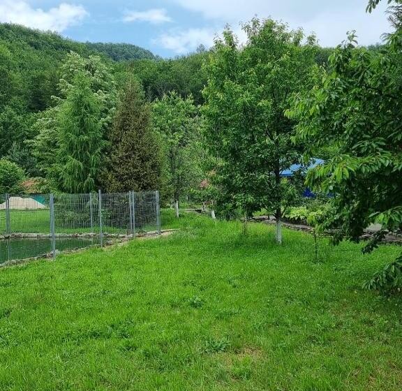 Restaurant Pensiune La Danila