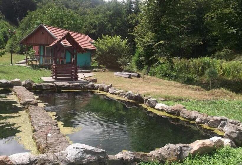 Restaurant Pensiune La Danila