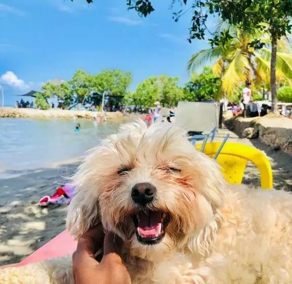 Hotelli Hermoso Caribe