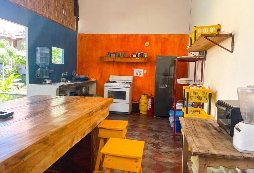 پانسیون Casa Gallo Pinto