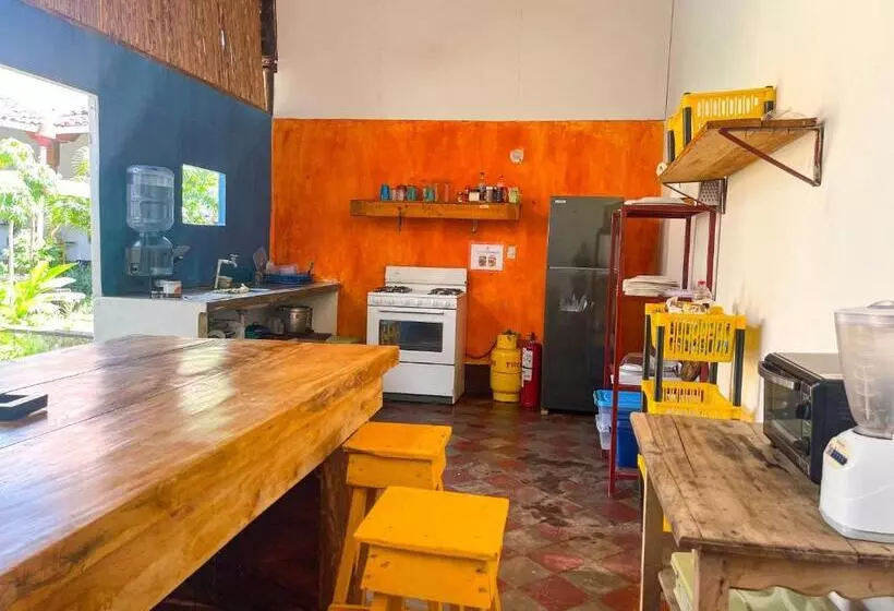 پانسیون Casa Gallo Pinto