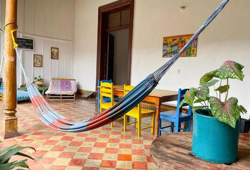 پانسیون Casa Gallo Pinto