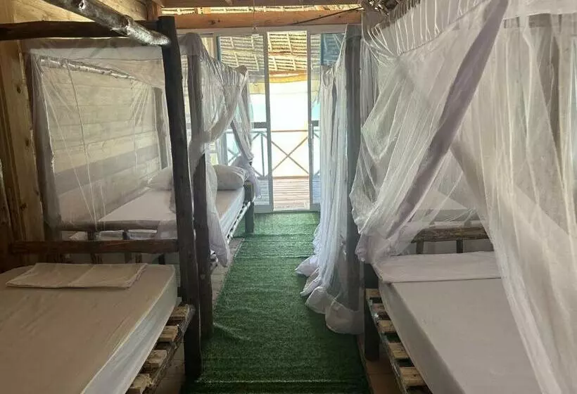 Retkeilymaja Coconuts Bandas