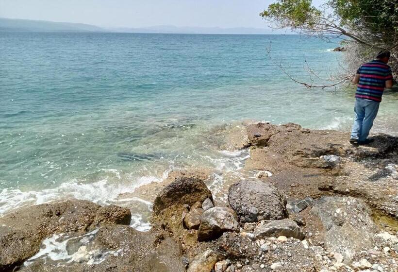 Ayşen Ablanın Yeri