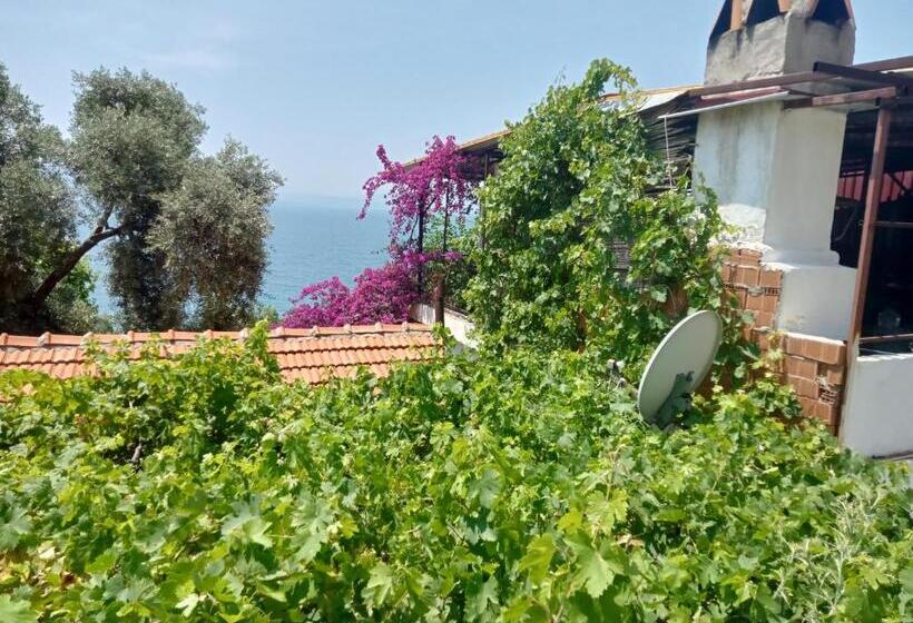 Ayşen Ablanın Yeri