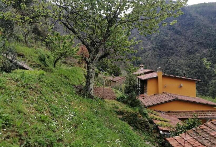 Bed and Breakfast Il Metato Di Gallena