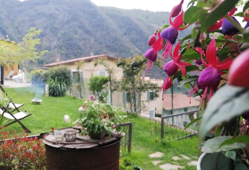 Bed and Breakfast Il Metato Di Gallena