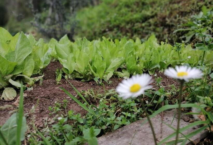 Bed and Breakfast Il Metato Di Gallena