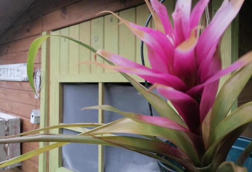 Bed and Breakfast Il Metato Di Gallena