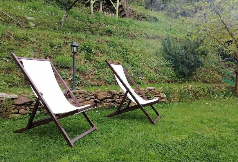 Bed and Breakfast Il Metato Di Gallena