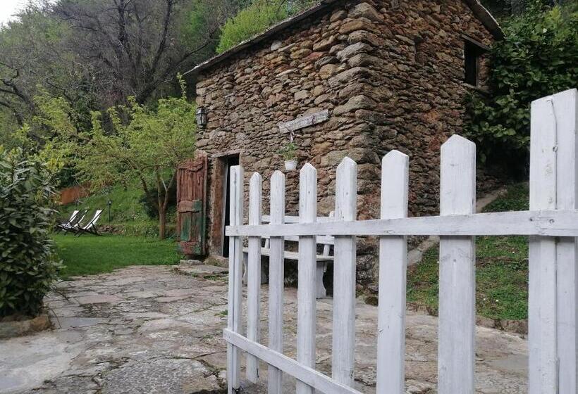 Bed and Breakfast Il Metato Di Gallena