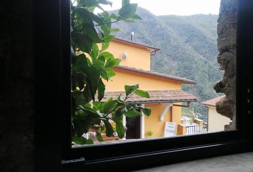 Bed and Breakfast Il Metato Di Gallena