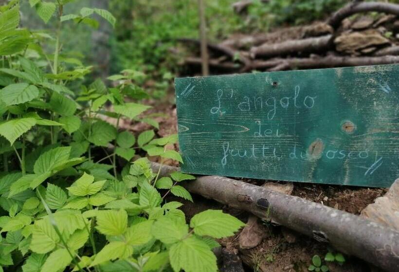 Bed and Breakfast Il Metato Di Gallena