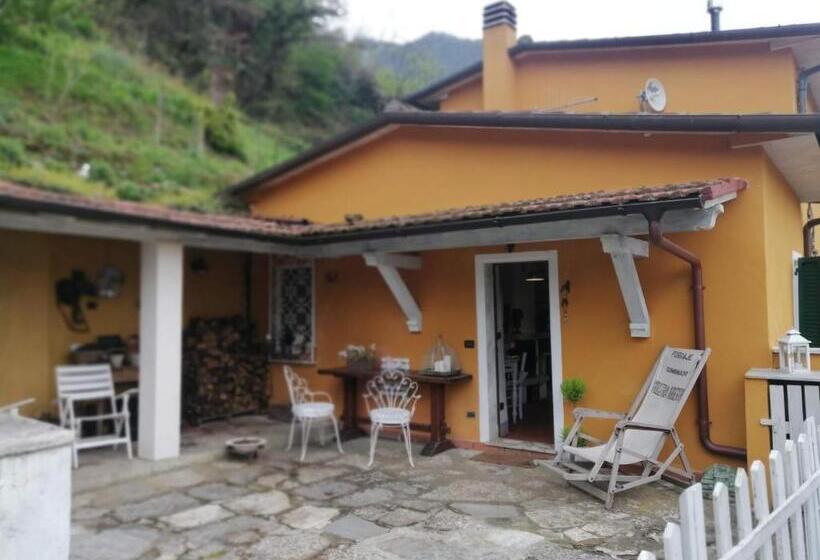 Bed and Breakfast Il Metato Di Gallena