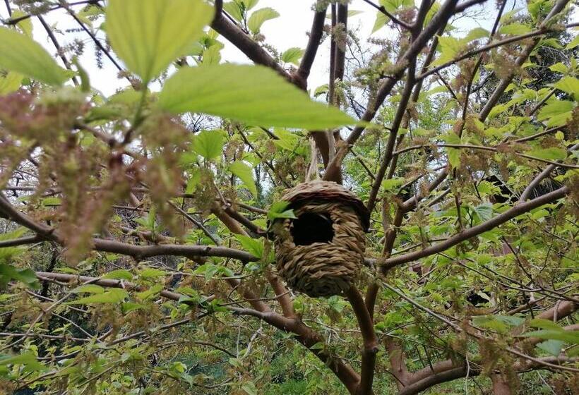 Bed and Breakfast Il Metato Di Gallena