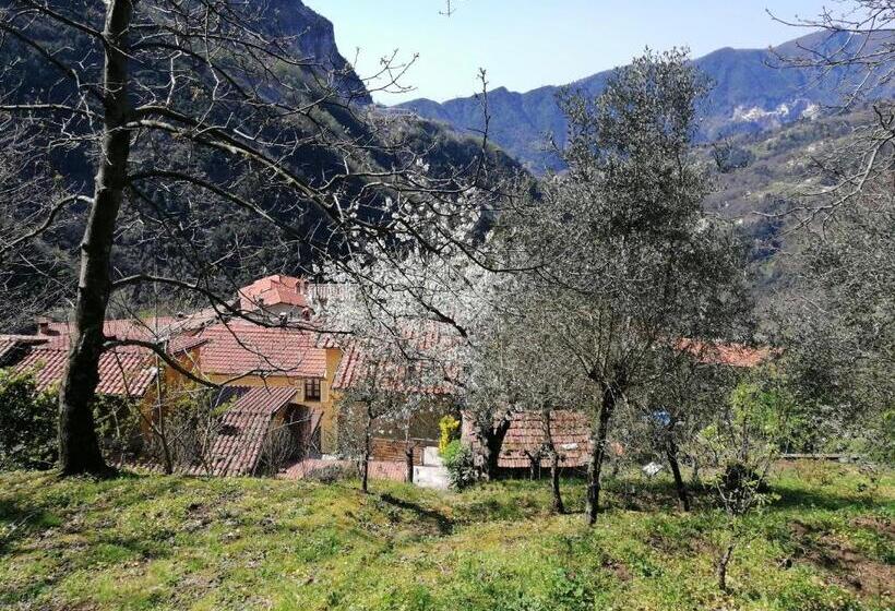 Bed and Breakfast Il Metato Di Gallena