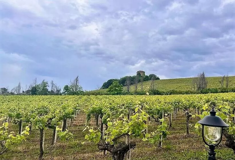 Vigneto   Italian Restaurant & B&b