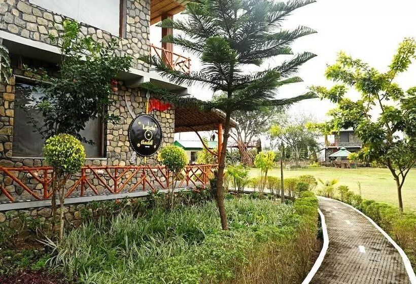 Hotelli Kabeela Tashree Resort