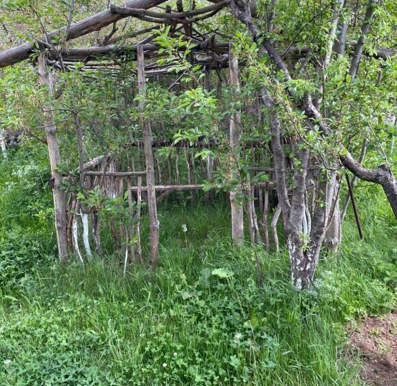 تختخواب و صبحانه Elmar Guesthouse