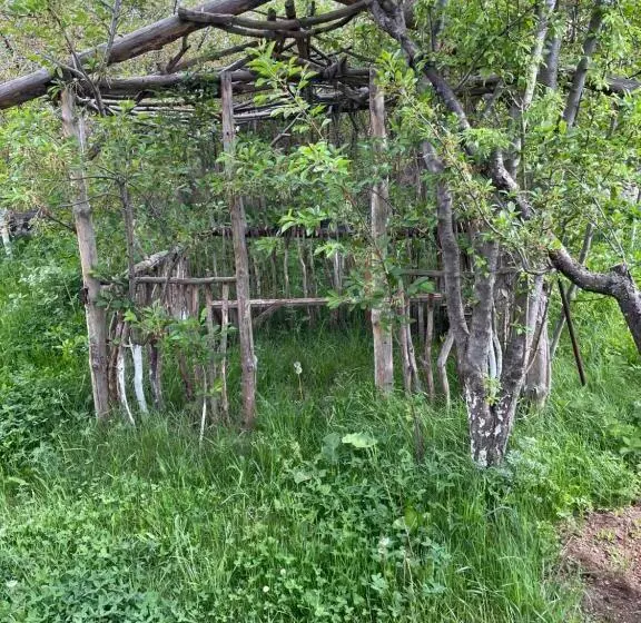 تختخواب و صبحانه Elmar Guesthouse