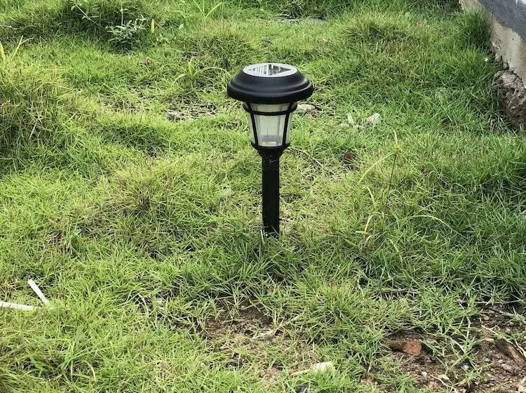 ホテル Downtown Virgins