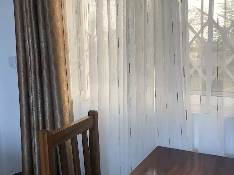 ホテル Downtown Virgins