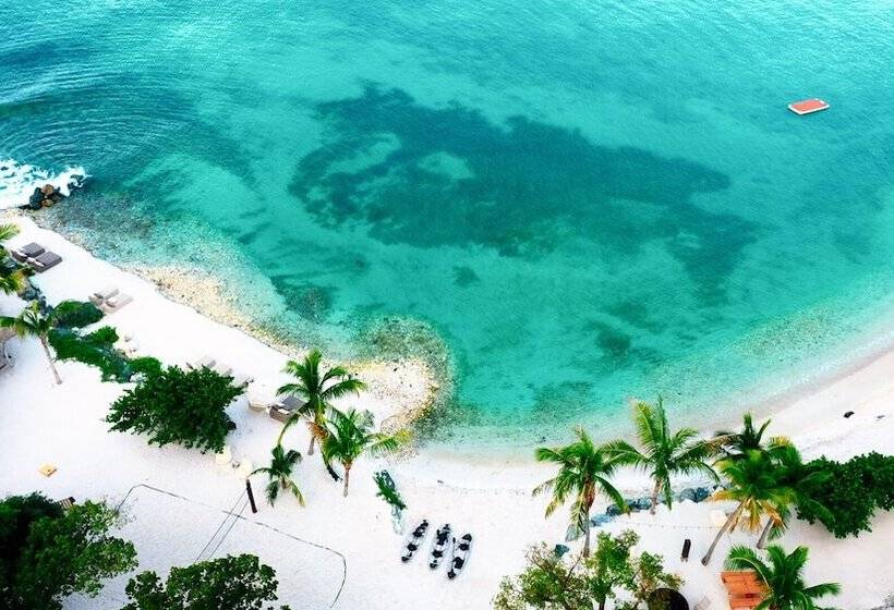 هتل The Aerial, Bvi