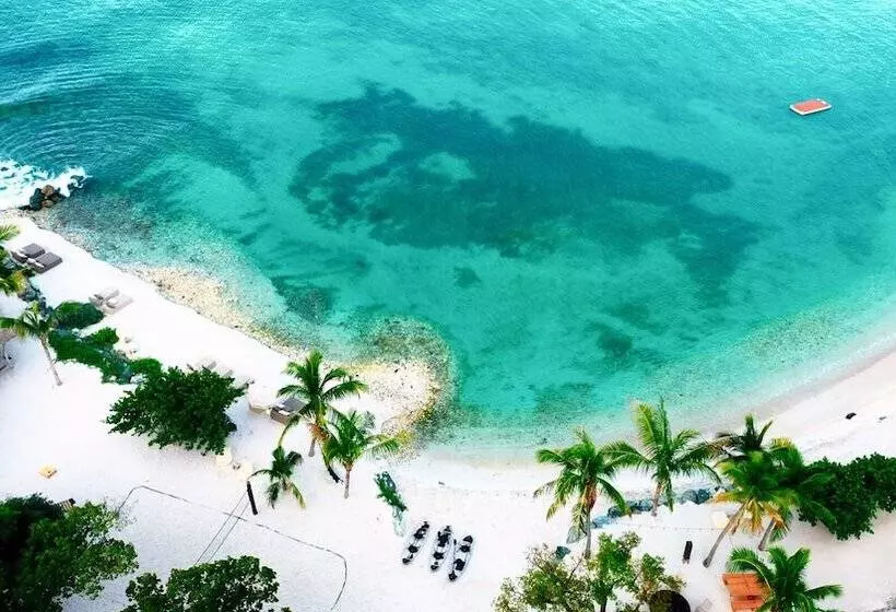 هتل The Aerial, Bvi