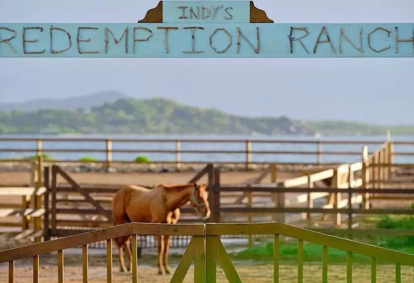 هتل The Aerial, Bvi