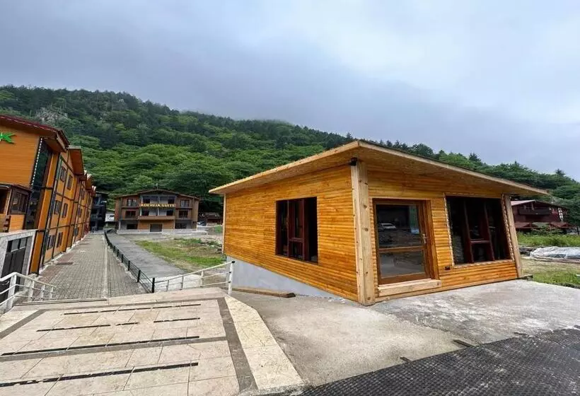 Aderfia Suite