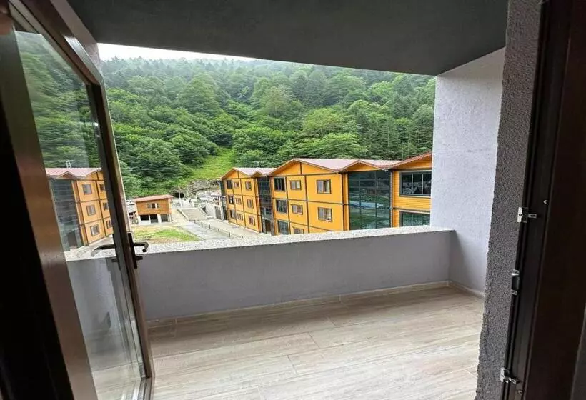 Aderfia Suite