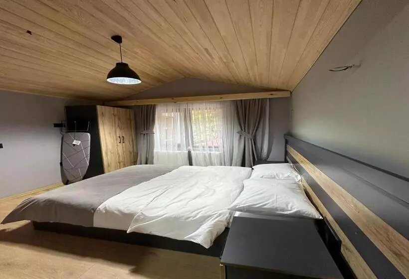 Aderfia Suite