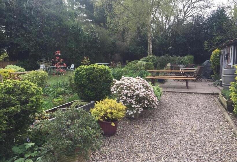 旅馆 The Crown, Smallburgh