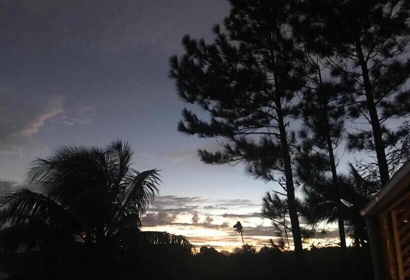 هتل The Harbourview Vava U