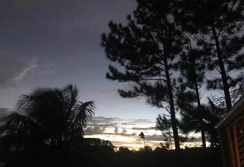 هتل The Harbourview   Vava U