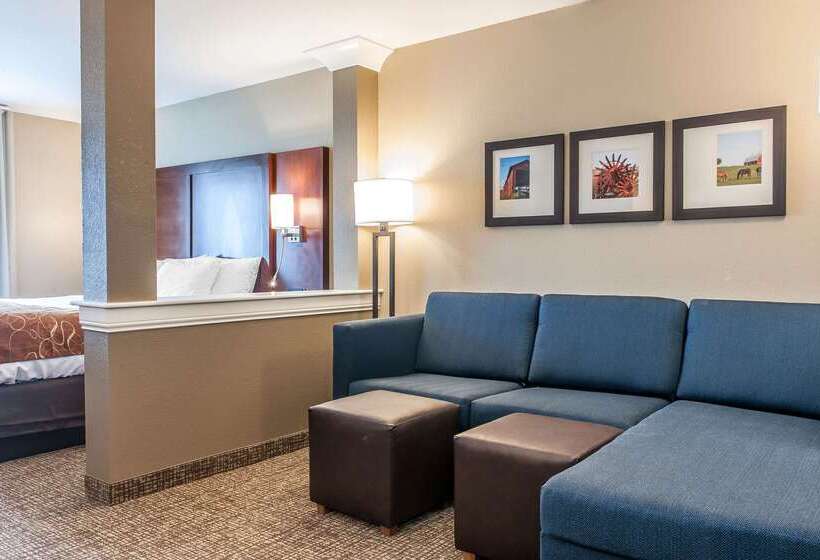 호텔 Comfort Suites Rensselaer Near Fair Oaks