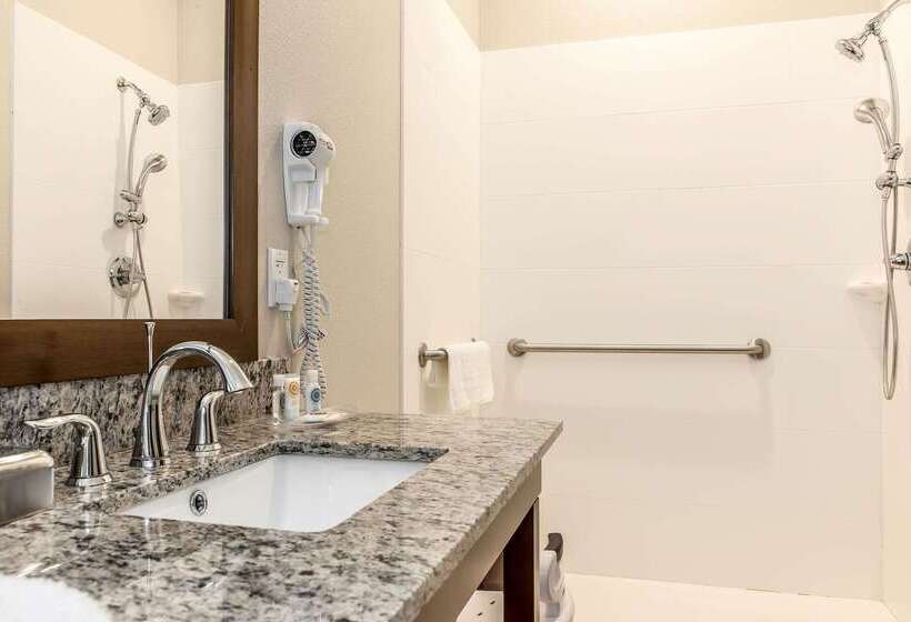 호텔 Comfort Suites Rensselaer Near Fair Oaks