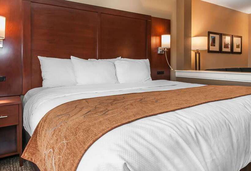 호텔 Comfort Suites Rensselaer Near Fair Oaks