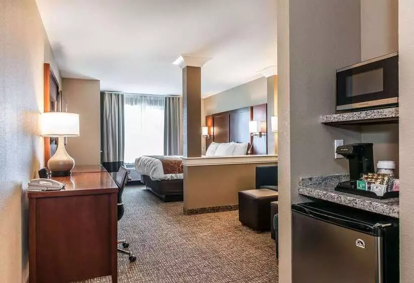 ホテル Comfort Suites Rensselaer Near Fair Oaks
